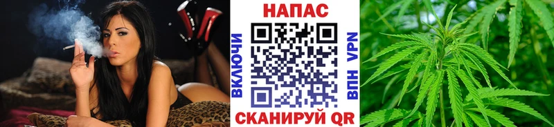Купить  Менделеевск  Бошки Шишки SATIVA & INDICA 